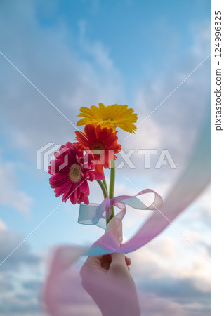 Blue sky and Gerbera Blue sky and Gerbera 124996325