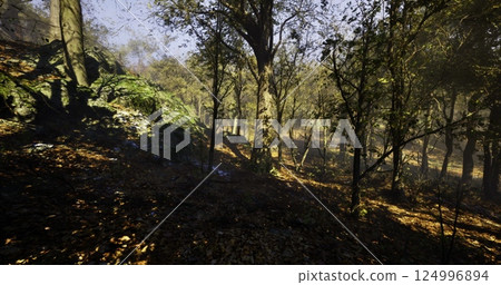 Vibrant forest with colorful foliage and soft sunlight filtering through Vibrant forest with colorful foliage and soft sunlight filtering through 124996894