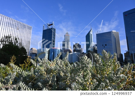 透視圖 高層建築 高層 124996937