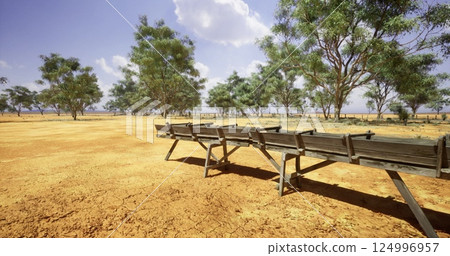 Wooden benches in a vast dry landscape with sparse trees and clear skies Wooden benches in a vast dry landscape with sparse trees and clear skies 124996957
