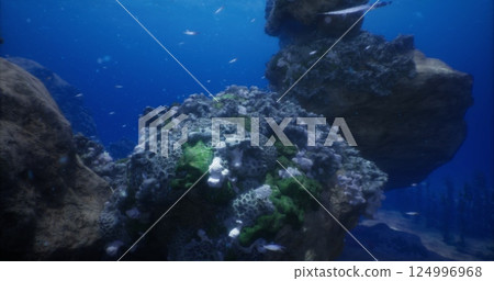 Colorful coral reef with diverse marine life thriving in deep ocean Colorful coral reef with diverse marine life thriving in deep ocean 124996968