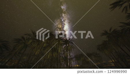 Starry night sky over palm trees in a tropical location Starry night sky over palm trees in a tropical location 124996990