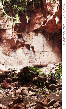 Rocky Area With Rocks and Plants 124997497