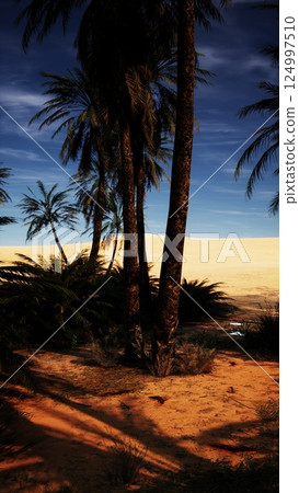 Palm Trees on Dirt Field Palm Trees on Dirt Field 124997510