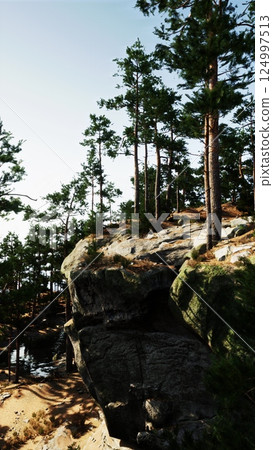 Rocky Cliff With Trees 124997513
