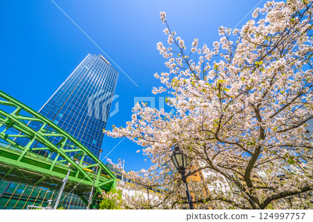 Tokyo cityscape in Japan: The Sobu Line running over the Matsuzumibashi overpass on the Sobu Main Line, skyscrapers, cherry blossoms, etc. 124997757