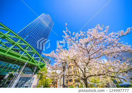 Tokyo cityscape in Japan: View of the Matsuzumibashi overpass on the Sobu Main Line over Shoheibashi intersection, skyscrapers, cherry blossoms, etc. 124997777