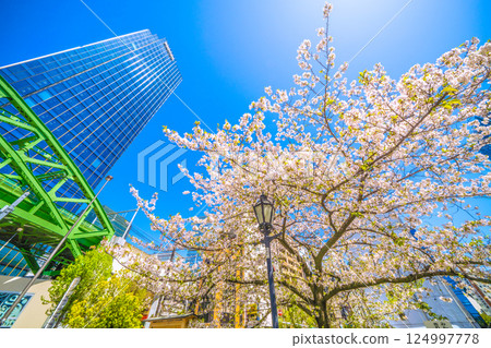 日本東京城市景觀:總武本線松渚橋與昌平橋交叉口的景色、摩天大樓、櫻花等。 日本東京城市景觀:總武本線松渚橋與昌平橋交叉口的景色、摩天大樓、櫻花等。 124997778