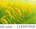 An illustration of golden ears of rice swaying in the wind before harvest 124997908