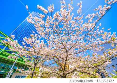 Tokyo cityscape in Japan: View of the Matsuzumibashi overpass on the Sobu Main Line over Shoheibashi intersection, skyscrapers, cherry blossoms, etc. 124998487