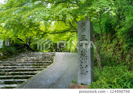 三千院庭園及參道 三千院 門跡天台宗 京都大原 124998798