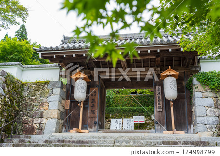 三千院庭園及參道 三千院 門跡天台宗 京都大原 三千院庭園及參道 三千院 門跡天台宗 京都大原 124998799