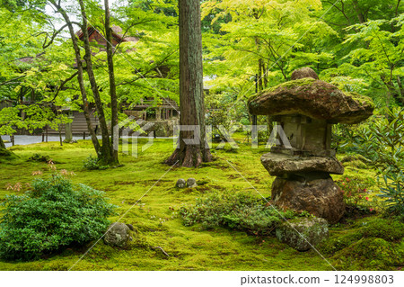 三千院庭園及參道 三千院 門跡天台宗 京都大原 124998803