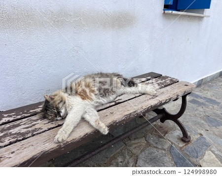 A gray cat sleeping on a wooden bench, Cyprus A gray cat sleeping on a wooden bench, Cyprus 124998980