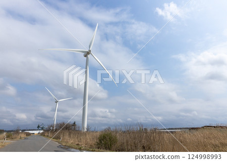 Wind power generation windmills in Sakata City, Yamagata Prefecture 124998993