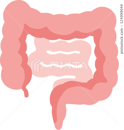 Illustration of a healthy intestine | Intestinal environment, intestinal activity, and digestive system 124999044