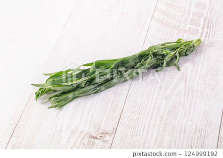 Fresh green estragon aroma stem Fresh green estragon aroma stem 124999192