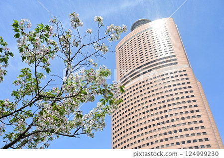 Act City 濱松與櫻花 Act City 濱松與櫻花 124999230