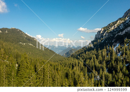 Drone aerial view of pine woodland and mountain peaks in the Bavarian Alps 124999399