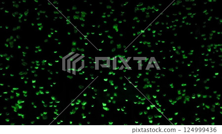 Colored bubbles on a black background. Green bubbles under the black background. Colored bubbles on a black background. Green bubbles under the black background. 124999436