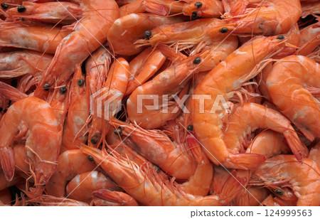 Close up. Top view of cooked tiger shrimps. Culinary background cooked shrimps cooked shrimps Close up. Top view of cooked tiger shrimps. Culinary background cooked shrimps cooked shrimps 124999563