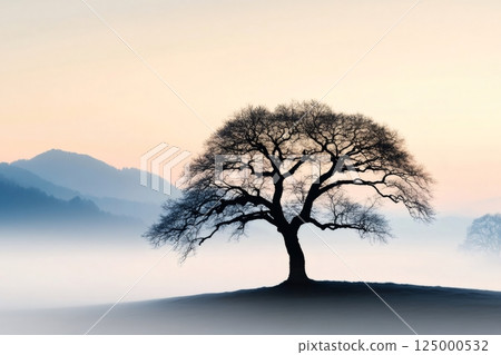 Lonely tree silhouette standing on a hill at sunrise with fog covering the valley Lonely tree silhouette standing on a hill at sunrise with fog covering the valley 125000532