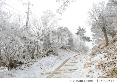 Snow-covered roads and frost-covered trees 125000642