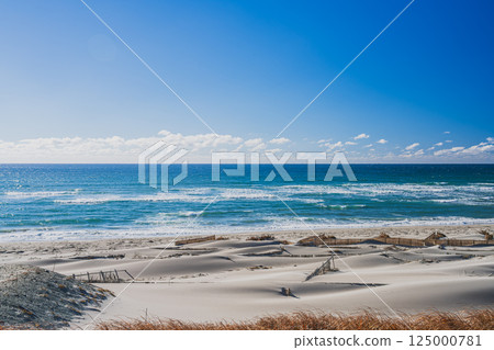 The sea and sky seen from Chihama Sand Dunes in Kakegawa City against the blue sky (Shizuoka Prefecture) 125000781