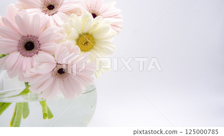 Bouquet of gerberas in a glass vase 125000785