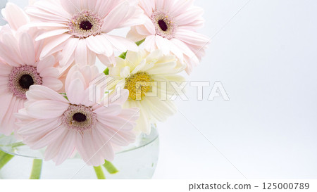 Bouquet of gerberas in a glass vase 125000789