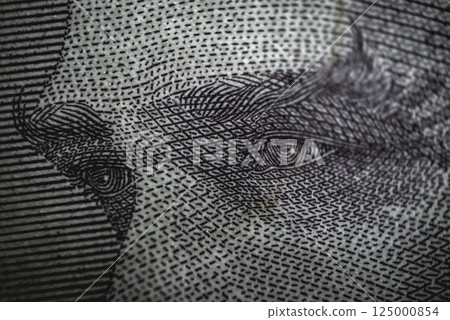 Close-up of Mustafa Kemal Ataturk on obverse of 5 Turkish lira banknote 125000854