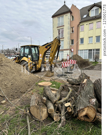 Cut-out trees and an excavator on the street of the city 125001778