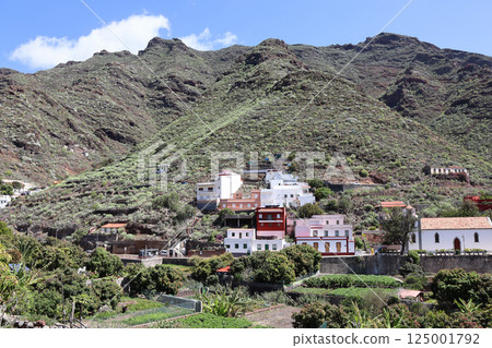 Mountain in Tenerife island Spain 125001792