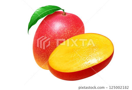 Mango realistic illustration Mango realistic illustration 125002182