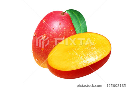 Mango realistic illustration Mango realistic illustration 125002185