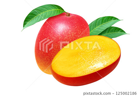 芒果寫實插畫 125002186