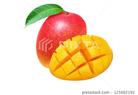 芒果寫實插畫 芒果寫實插畫 125002192