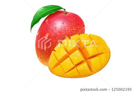 Mango realistic illustration Mango realistic illustration 125002195