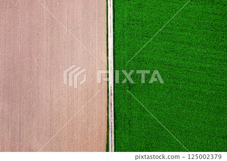 Agricultural fields and single countryside road, drone point of view 125002379
