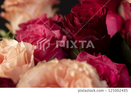 a group of red rose flowers for making bouquets for a gift 125002485