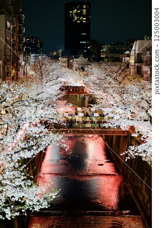 目黑川的夜櫻 125003004