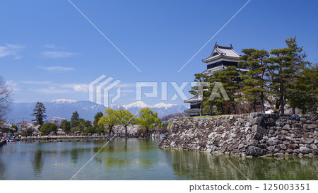 Matsumoto castle shining in the blue sky 125003351