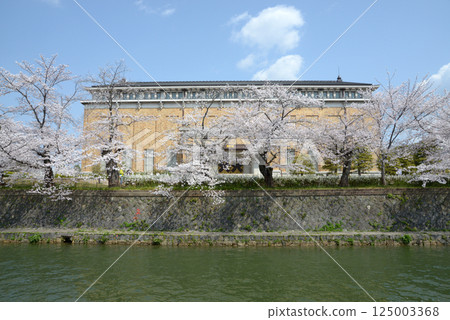 Kyoto Okazaki Park, Lake Biwa Canal cherry blossoms and Kyoto City Kyocera Museum of Art, Sakyo Ward, Kyoto City 125003368