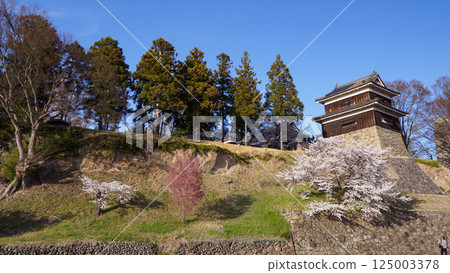 Senbonzakura Festival at Shinshu Ueda Castle Ruins (Daytime Edition) 125003378