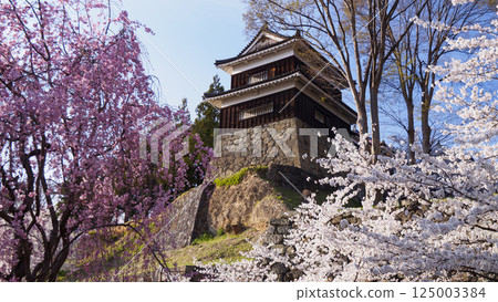 Senbonzakura Festival at Shinshu Ueda Castle Ruins (Daytime Edition) Senbonzakura Festival at Shinshu Ueda Castle Ruins (Daytime Edition) 125003384