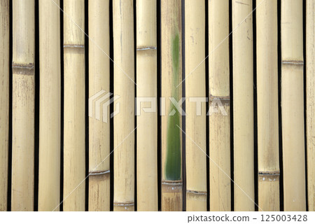 Dog-shaped arrowhead and bamboo-shaped arrowhead 125003428