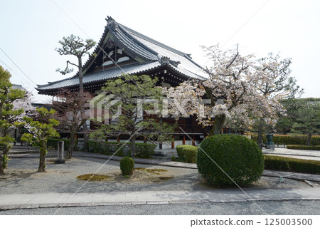 Amidaji Temple Main Hall Kamigyo Ward, Kyoto City Amidaji Temple Main Hall Kamigyo Ward, Kyoto City 125003500
