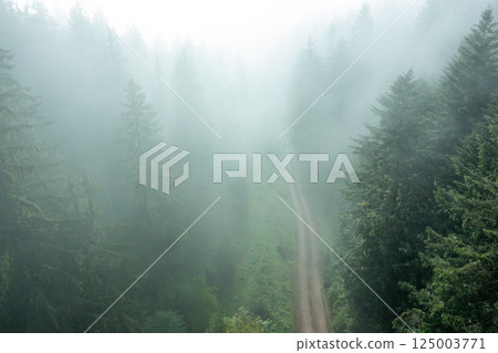 Black Forest covered in fog, drone aerial view Black Forest covered in fog, drone aerial view 125003771