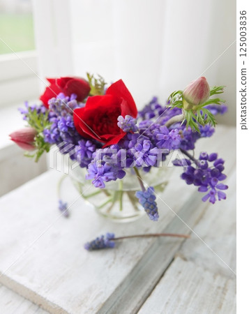 窗台上的葡萄風信子和銀蓮花 窗台上的葡萄風信子和銀蓮花 125003836