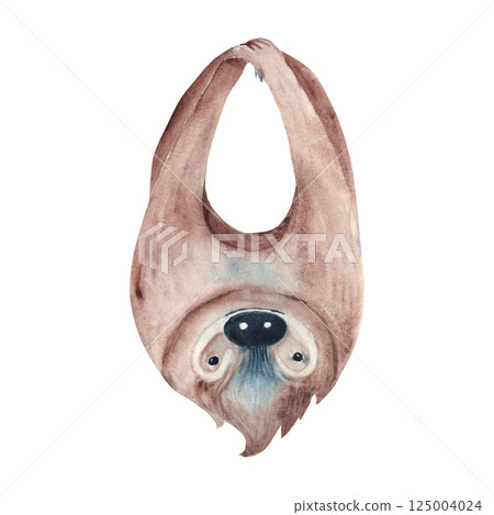 Sloth hanging upside down. Watercolor painting of cute Tropical animal isolated on white background. For cards and posters, wallpaper. 125004024